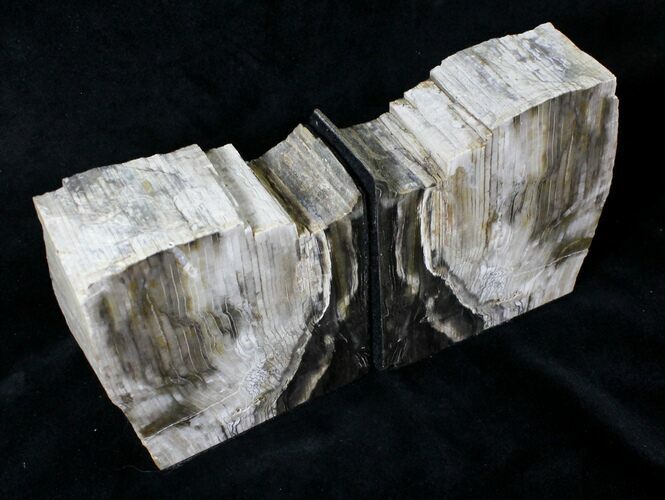 Small Oregon Petrified Wood Bookends - Oak #19521